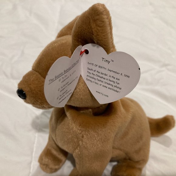 Ty Beanie Baby Tiny the Chihuahua - Picture 3 of 4